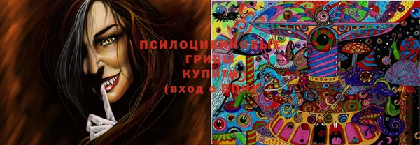 мяу мяу мука Коряжма